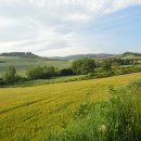 산티아고 순례 회상(6): 칼사다 - 벨로라도 - 아헤스 - 부르고스 이미지