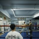 전일복싱클럽(일곡관) | 광주복싱 (프로테스트심사)