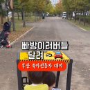 부산시민공원전동차