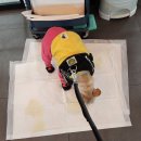 하누동물병원 이미지