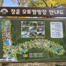 청운오토캠핑장 | [캠핑장 후기] 양평 청운오토캠핑장 / 큰 나무그늘과 큰 데크사이즈가 인상적인 캠핑장