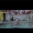 Allswimmer 네이버블로그