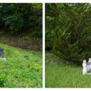 탄천면 행정복지센터 이미지