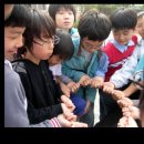 남신초등학교 이미지