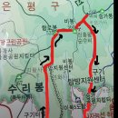 비봉수석