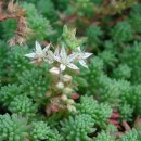 멋쟁이세탁소 이미지