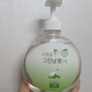 그린날애