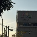 남산숲어린이집 | [일상/정보] 서울숲 보면서 수영하기 : 서울숲복합문화체육센터