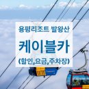발왕산 케이블카 요금, 예매, 주차장, 맛집, 용평리조트 워터파크 이용 후기