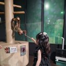 토니헬스케어 | 오키도키 오키나와 마지막편