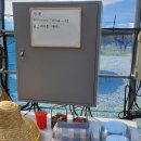 선글라스팜 | 대구 근교 아기랑 가볼만한곳 경산 딸기체험 윤스베리팜