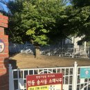 길안초등학교길송분교장 이미지