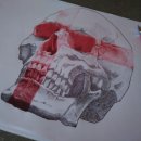 일동바이오사이언스(주) | 일동홀딩스, GLP-1RA 신약과 글로벌 파트너십의 기대감