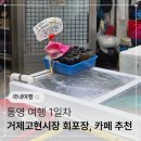 노랑통닭고현점 | 통영여행 | 거제고현시장 회포장 횟집추천, 파인애플 카페