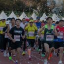 (주)평화의섬-제주 이미지