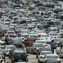 슬기로운동물병원 이미지