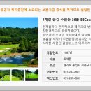 88(팔팔) 이미지