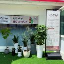 광명사거리역맛집 소소미전골칼국수보쌈 솔직후기 (무제한)
