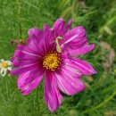 정자나무농원 이미지