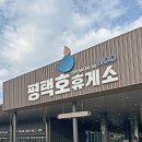 빵고래 | 평택호 휴게소 호두과자보다 맛있는 로아드고래빵 내돈내산 후기