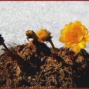 2018-주054 이미지