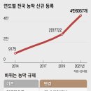 건수농장 이미지