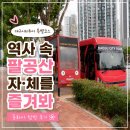대구시티투어 특별코스, 역사 속 팔공산 자·체를 즐겨봐 아이랑 다녀온 후기