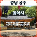 바람소리 | 부천님오신날 충남 공주 동학사 대웅전 사찰 계룡산국립공원 주차 다녀온 후기