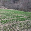 한진농장 2 이미지