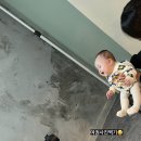강씨네사진관 이미지