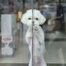 온즈믄 | 📂 4월 다섯째 : 끝자락에서, 시작된 5월