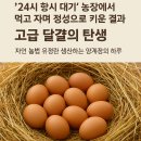 하루네 농장 이미지