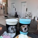 독플러스 이미지