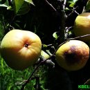 열린자리 이미지