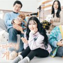 천회농장 Daum카페