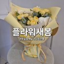 플라워새봄 이미지