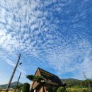 엘리트 승마스쿨 이미지