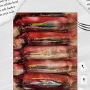 태안 파도리 해식동굴 &amp; 오징어~ 이미지