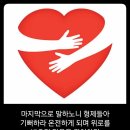 말씀나무 연구소 네이버블로그