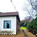 스테이552 | 제주 예쁜 숙소, 스테이 552