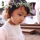 리즈비