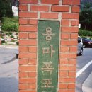 용마약국 이미지