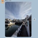 거제도 지세포유람선터미널근처 지세포 선상낚시 직접 잡은 농어, 전갱이 회 한상