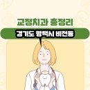 예인부부치과 | 경기도 평택시 비전동 교정치과 총정리