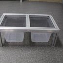 라피스게코 이미지