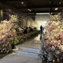 세화디에스 이미지