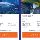 코엑스아쿠아리움 이미지