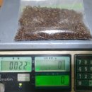 금강초등학교 이미지