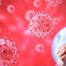 바이러스 이미지