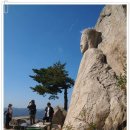 남산농산물 이미지